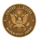 Understanding Bankruptcy | District of Kansas | United States ...